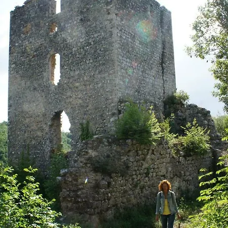 Holiday home Borgo La Fungaia *