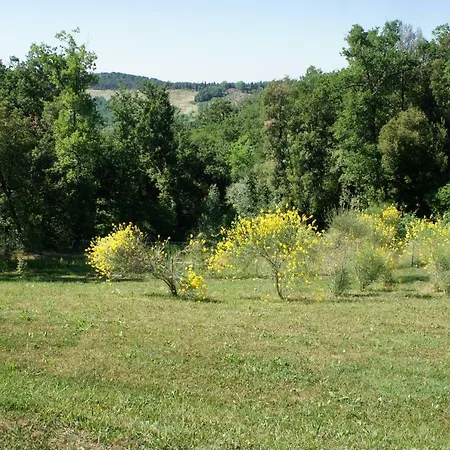 Borgo La Fungaia Holiday home