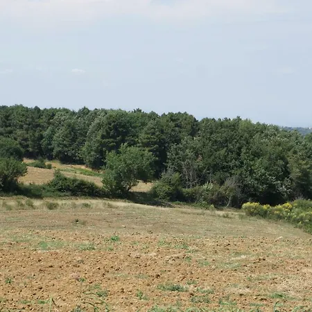 Holiday home Borgo La Fungaia Gambassi Terme