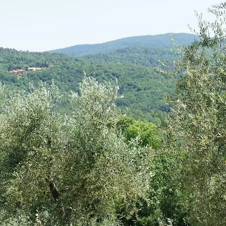 Ferienhaus Borgo La Fungaia Gambassi Terme