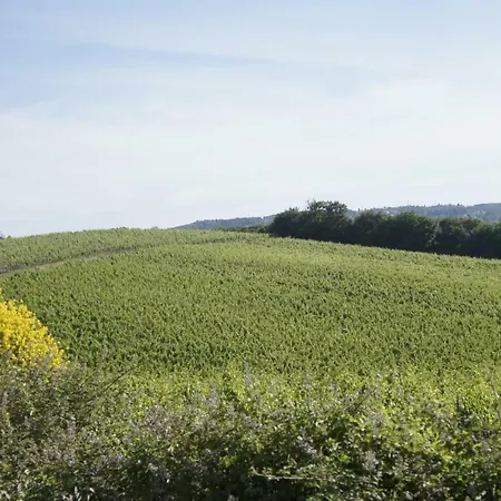 Borgo La Fungaia Ferienhaus