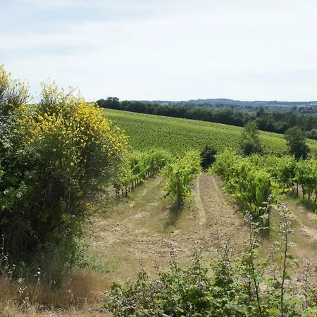 Borgo La Fungaia Ferienhaus